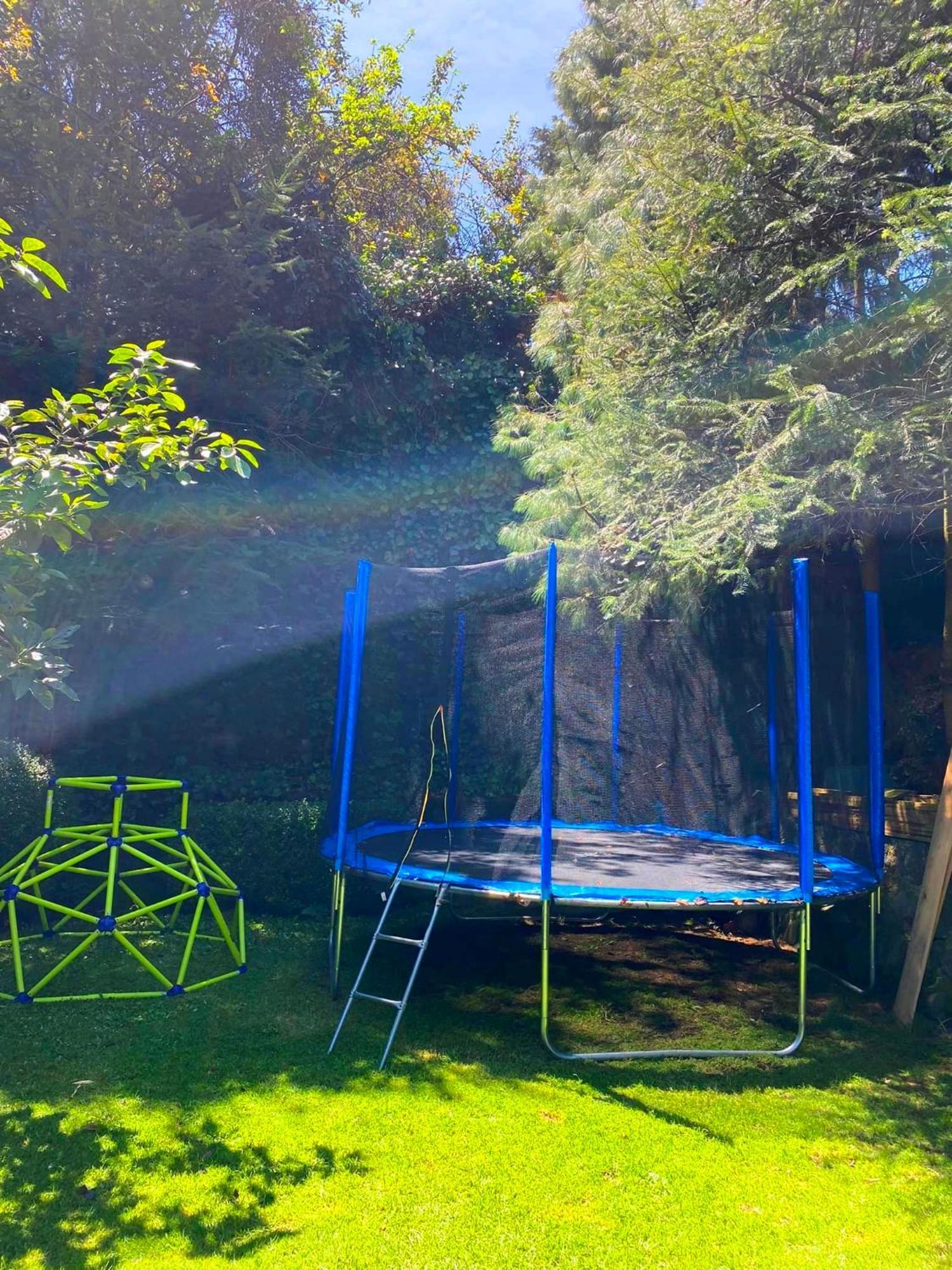 Campsite Tipo Cabana, Rodeado De Bosque